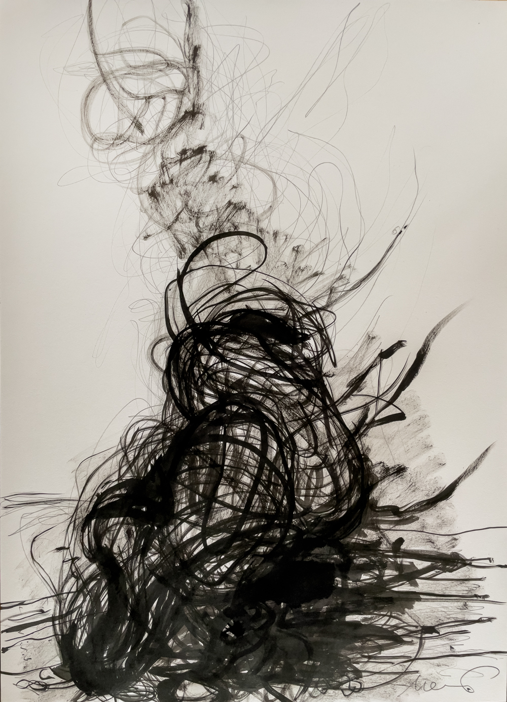 Florian Mehnert, Reflection about Roots, 2026, ink and graphite on paper