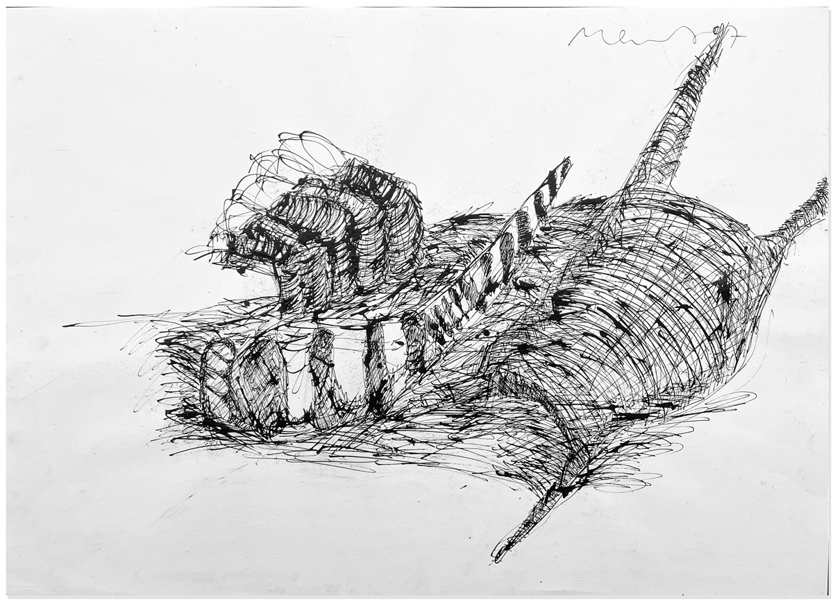 Florian Mehnert, Dragonfly Ink Drawings, 1997-2005