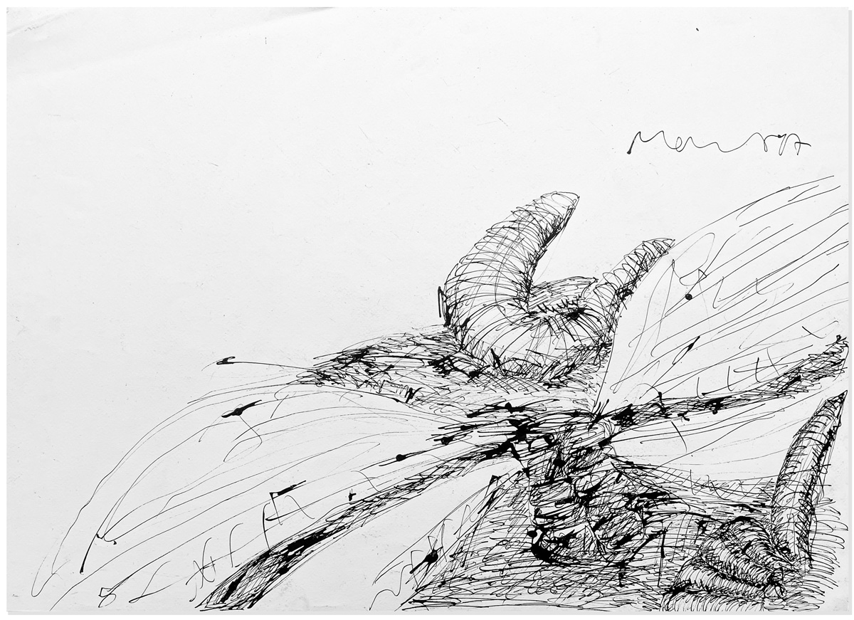 Florian Mehnert, Dragonfly Ink Drawings, 1997-2005