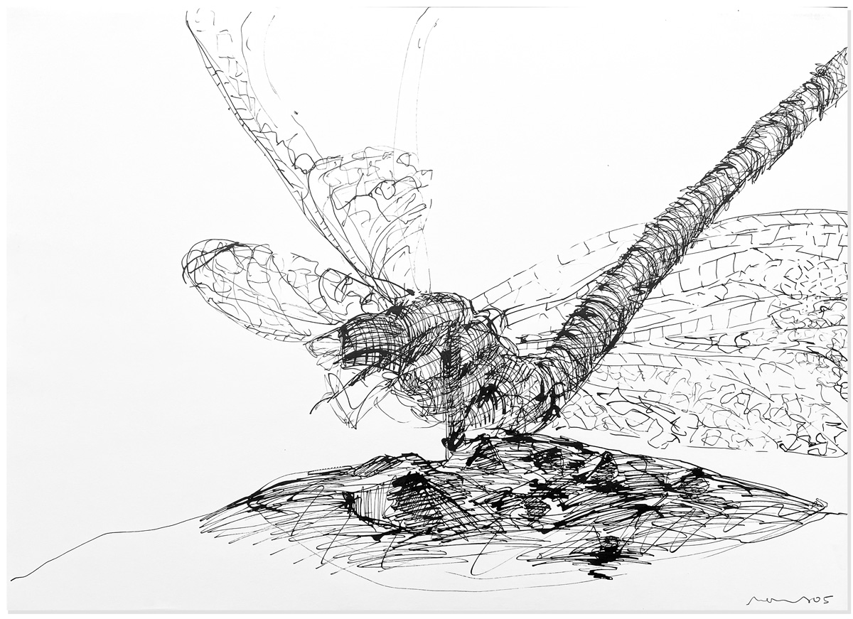 Florian Mehnert, Dragonfly Ink Drawings, 1997-2005