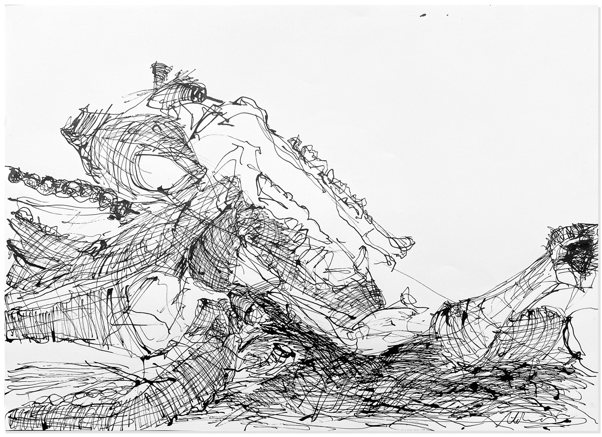 Florian Mehnert, Dragonfly Ink Drawings, 1997-2005