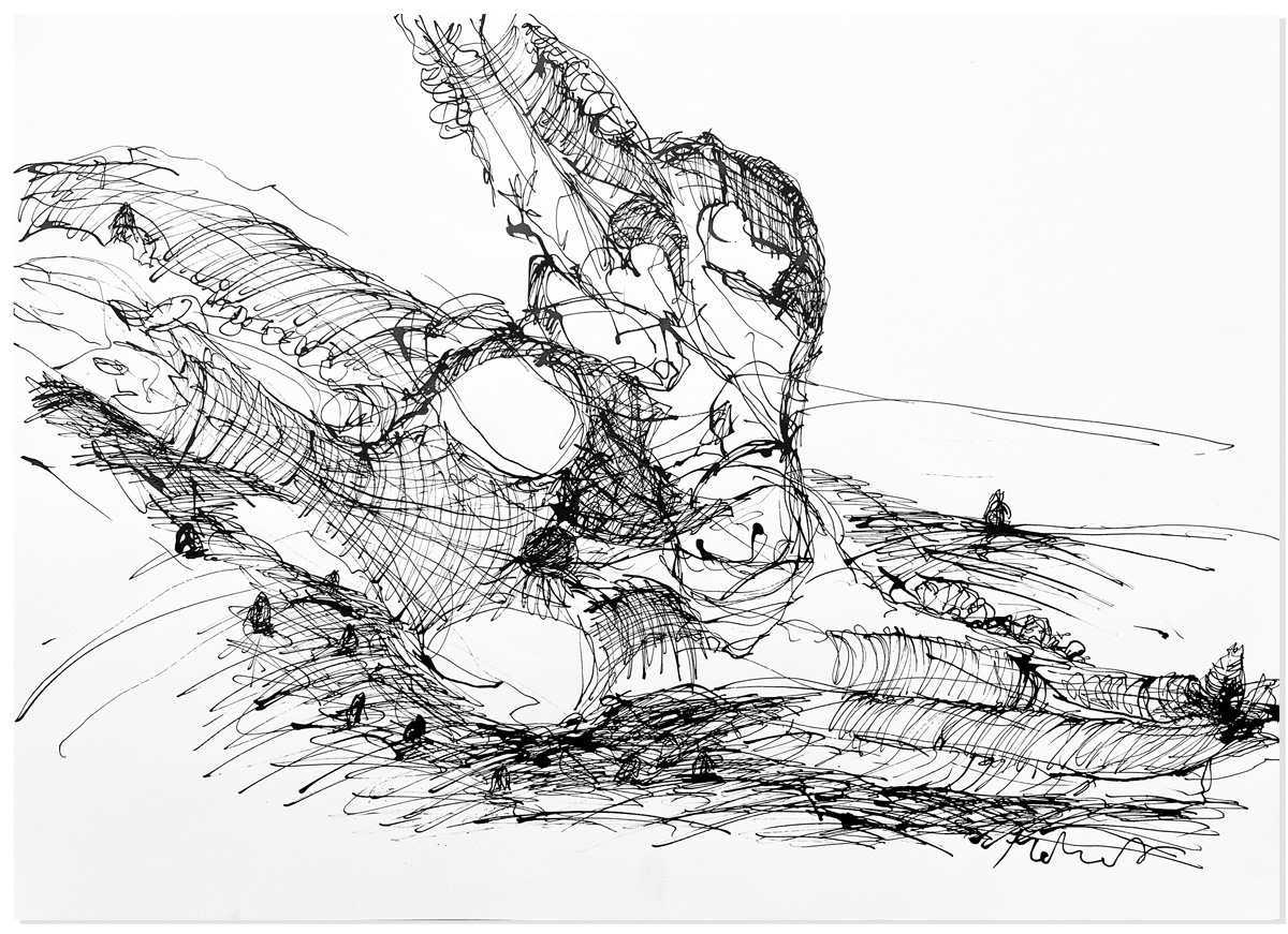 Florian Mehnert, Dragonfly Ink Drawing