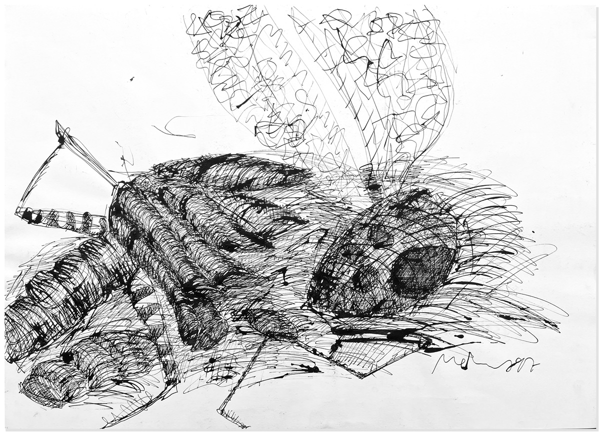 Florian Mehnert, Dragonfly Ink Drawings, 1997-2005