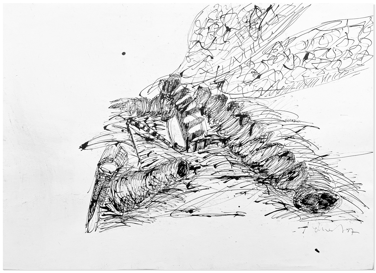 Florian Mehnert, Dragonfly Ink Drawings, 1997-2005