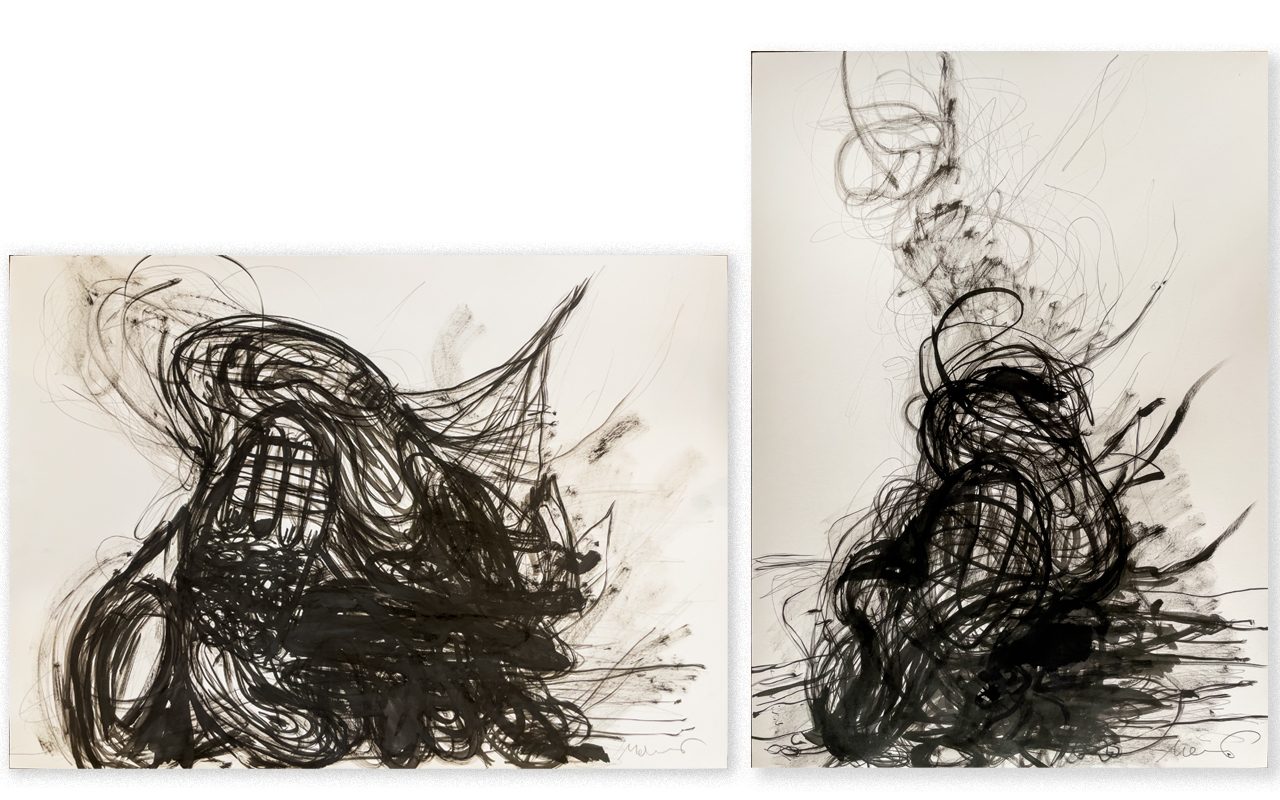 Florian Mehnert, Forest drawing