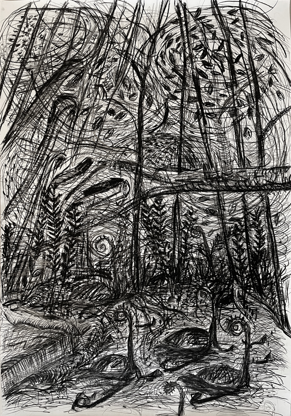 Forest, works on paper by Florian Mehnert