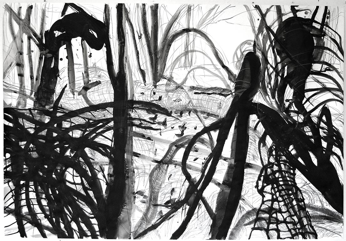 Large Drawings