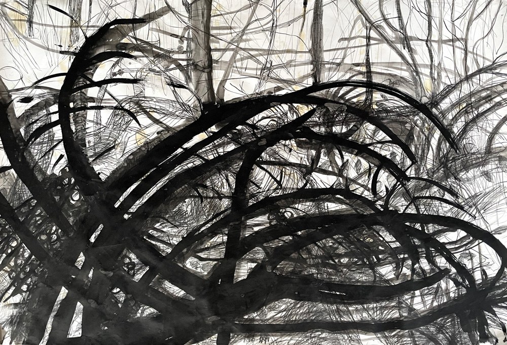 Large Drawings