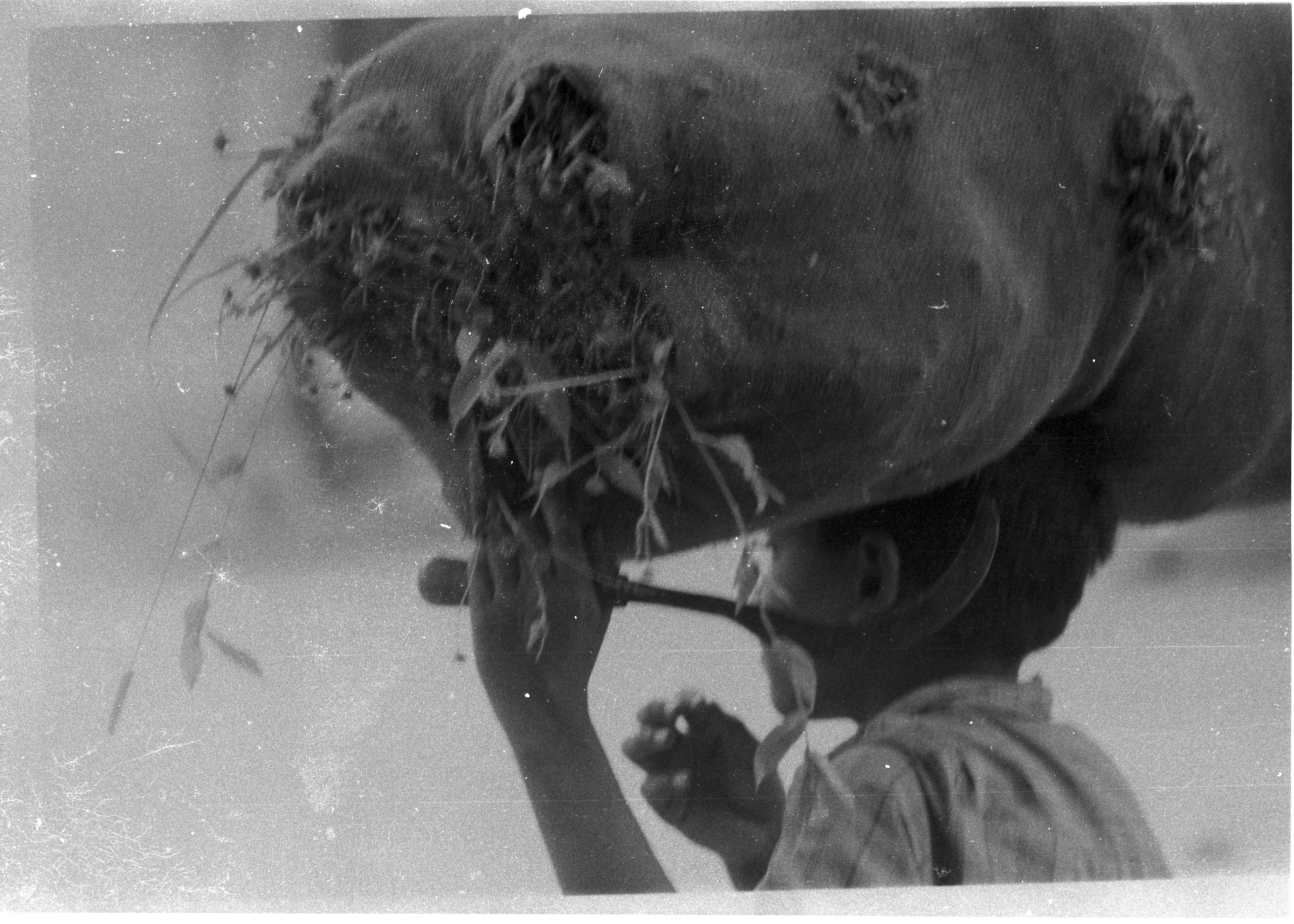 Florian Mehnert, Photography India, Social Systems
