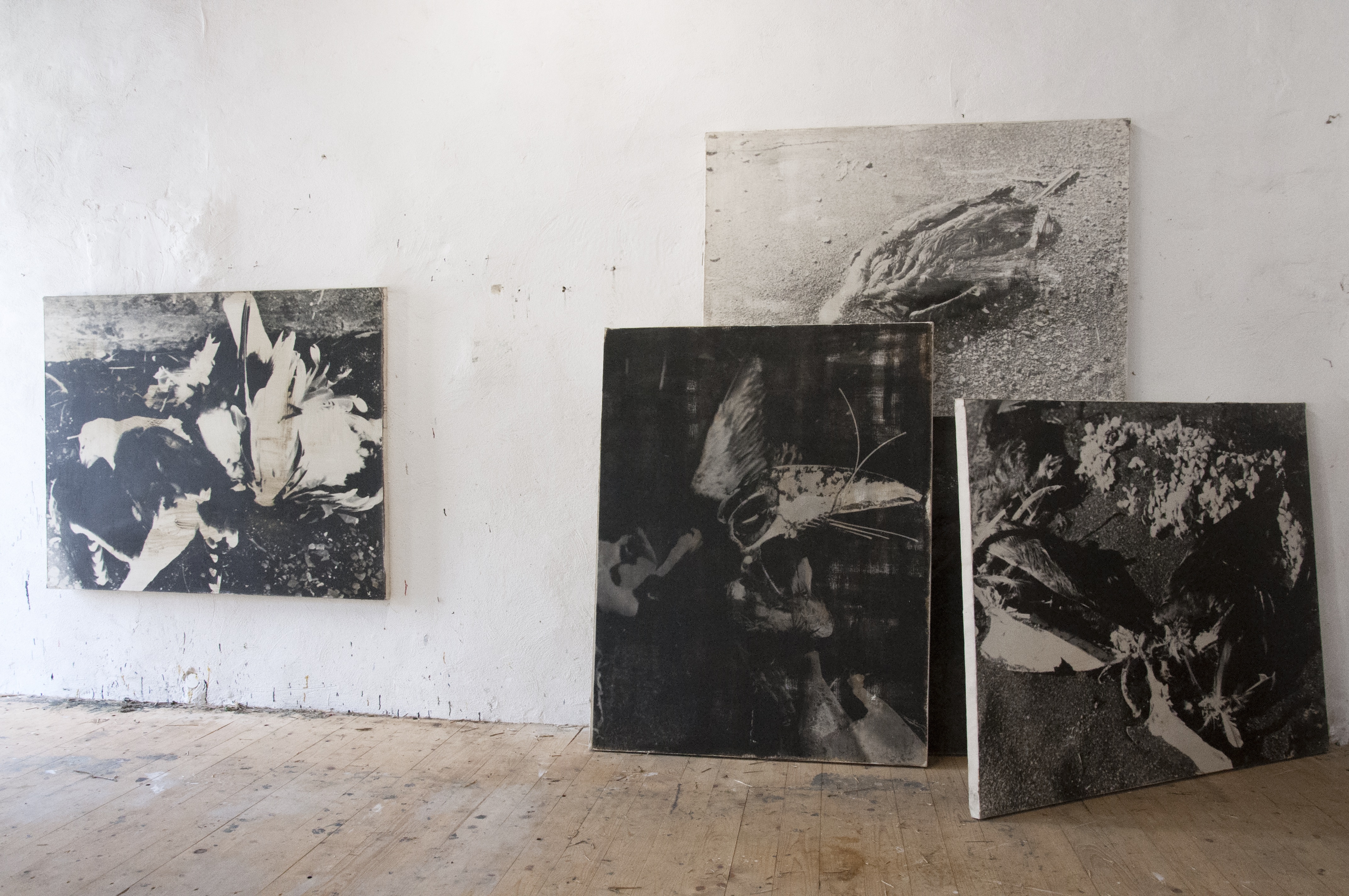 Fragments, Iceland, photography on cotton