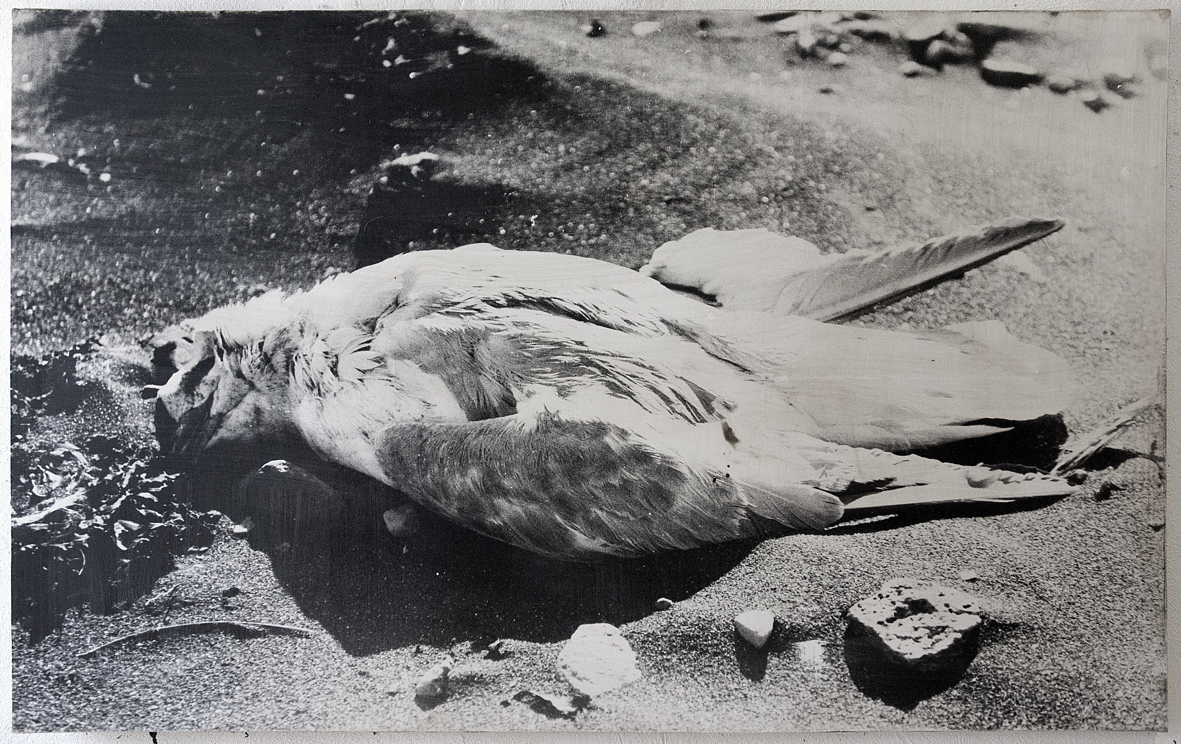 Fragments, Iceland, photography on cotton