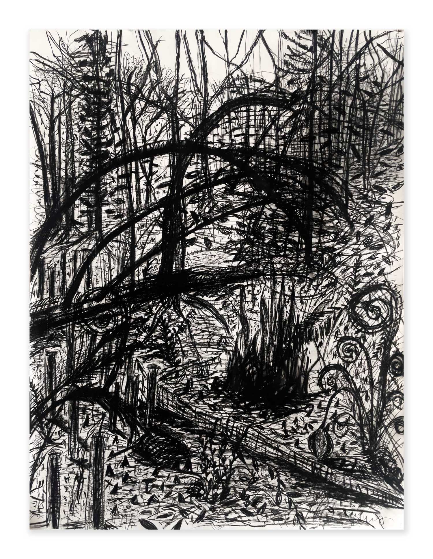 Forest, works on paper by Florian Mehnert