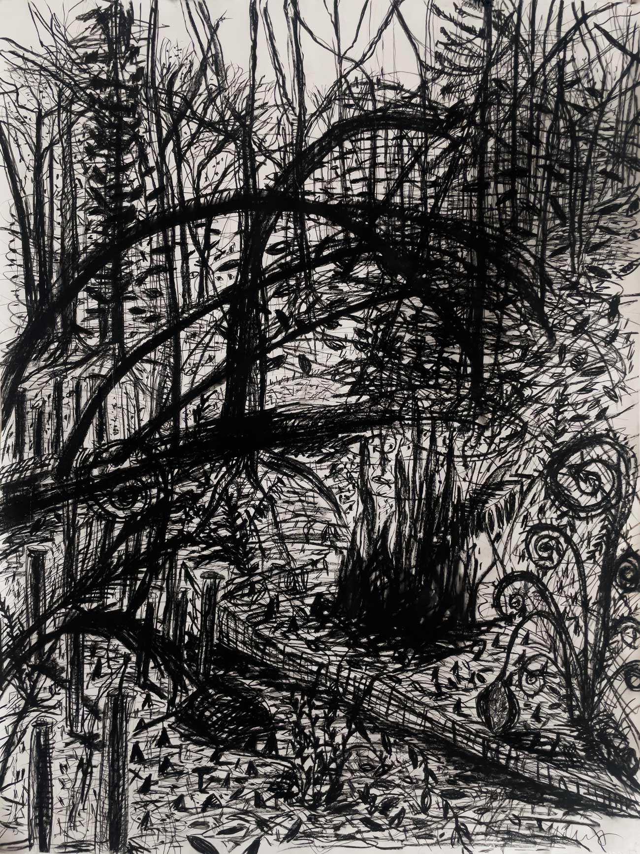 Florian Mehnert, Wood Systems, 2025, charcoal on paper